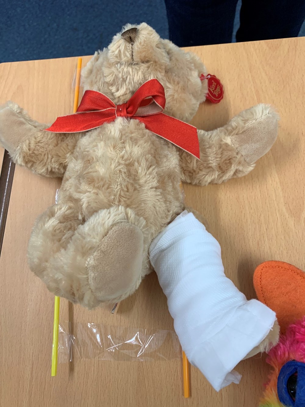 TEDDY BEAR BANDAGES - PLACE PROGRAMME